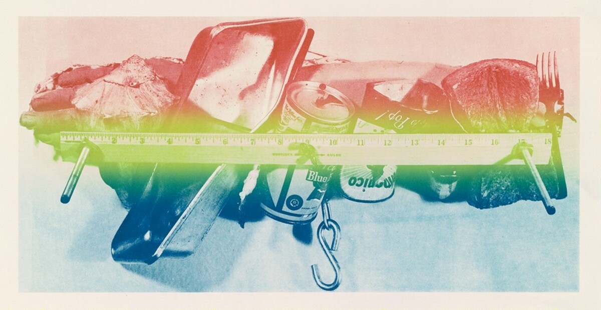 Pinion [verso] [experimental proof] by Jasper Johns