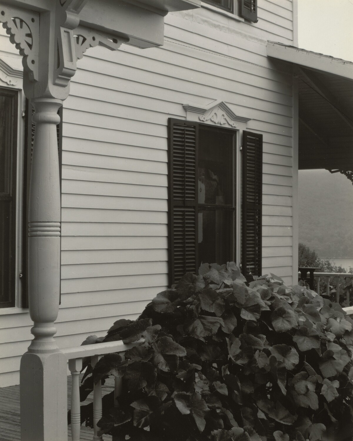 House and Grape Leaves by Alfred Stieglitz