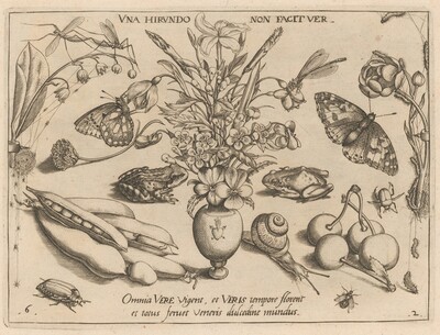 Archetypa studiaque patris Georgii Hoefnagelii [Part 2, Plate 6]