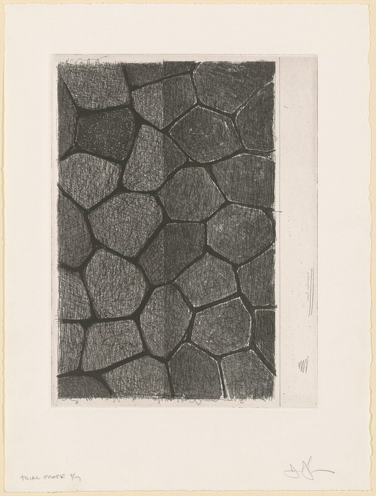 Flagstones (a) [trial proof 4] by Jasper Johns