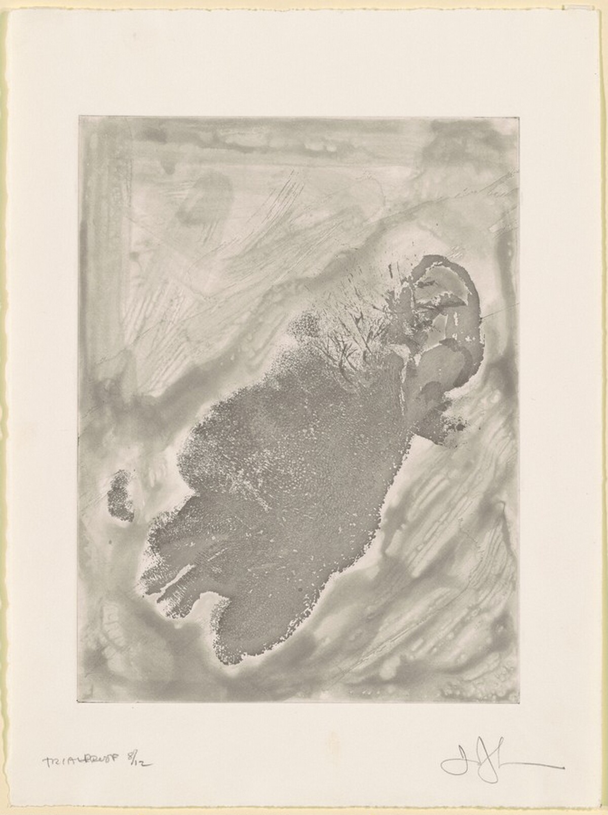 Face [trial proof 8] by Jasper Johns