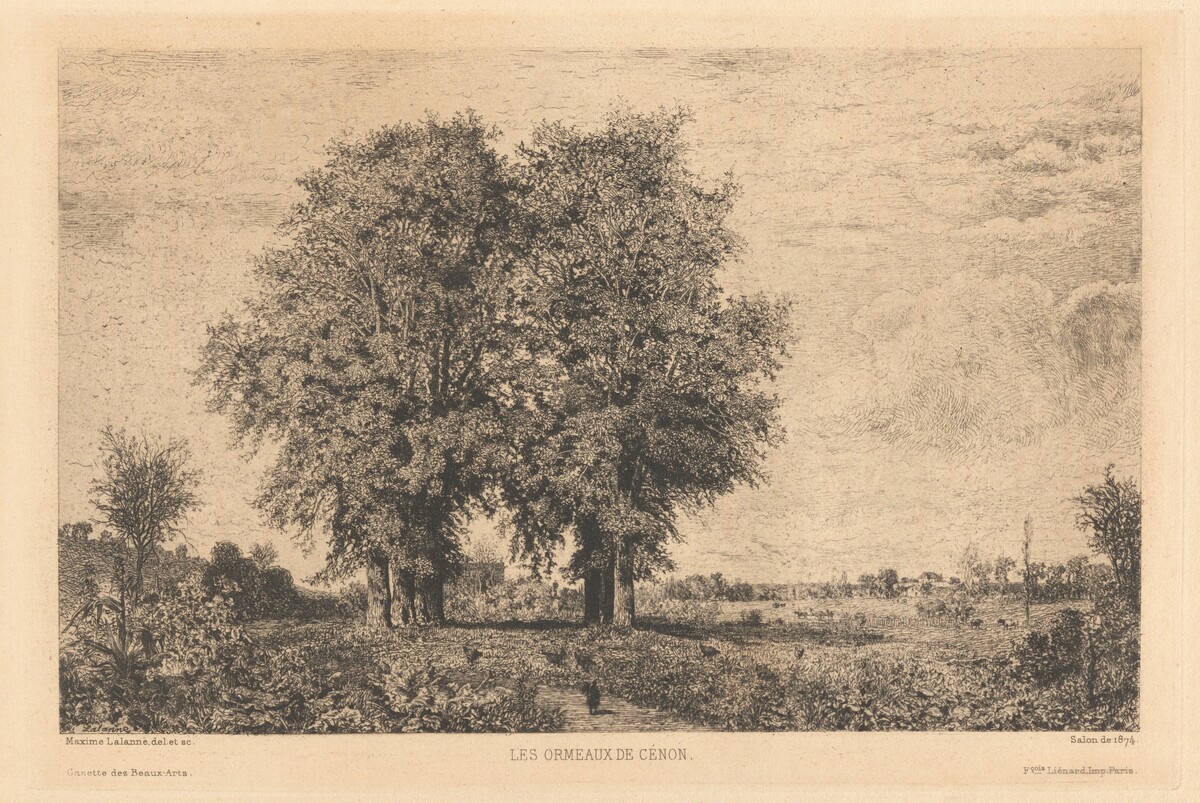 Les Ormeaux de Cénon by Maxime Lalanne