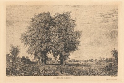 Les Ormeaux de Cénon