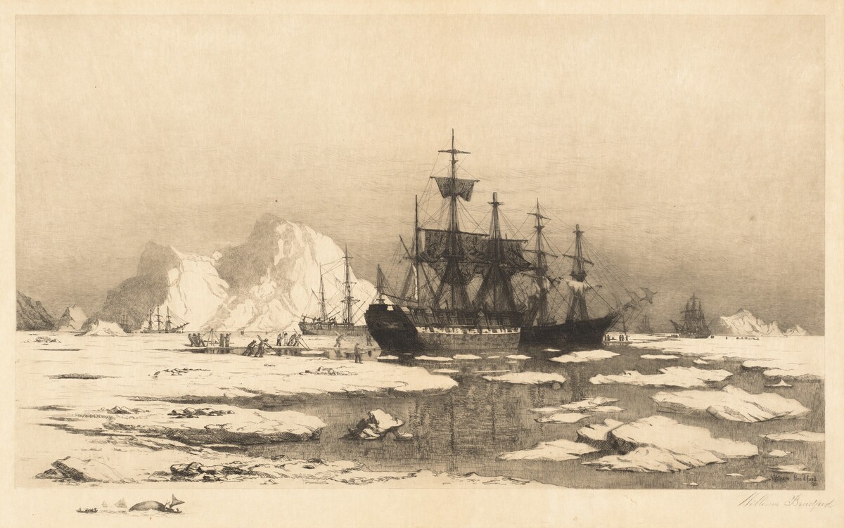 Among the Ice Floes by William Bradford