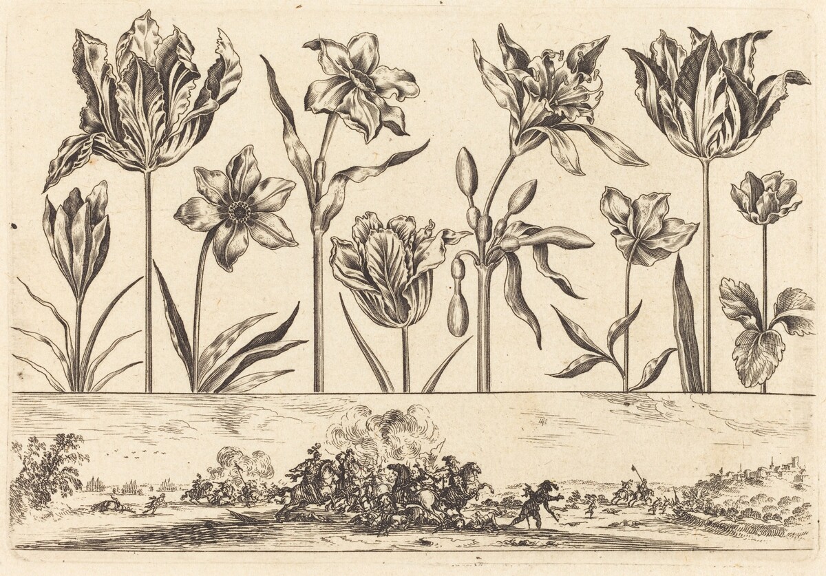 Flower Print no.2 by Nicolas Cochin after Balthasar Moncornet