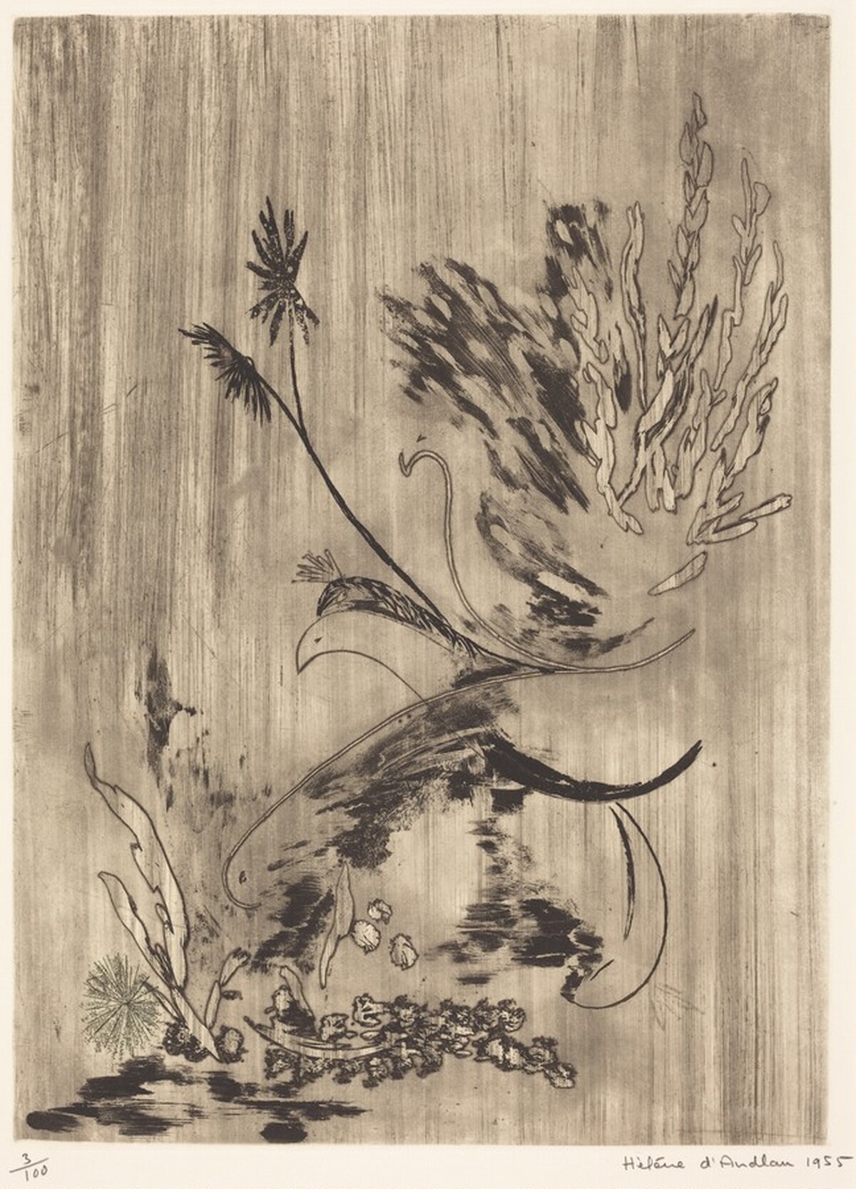 The Birds by Helene d' Andlau