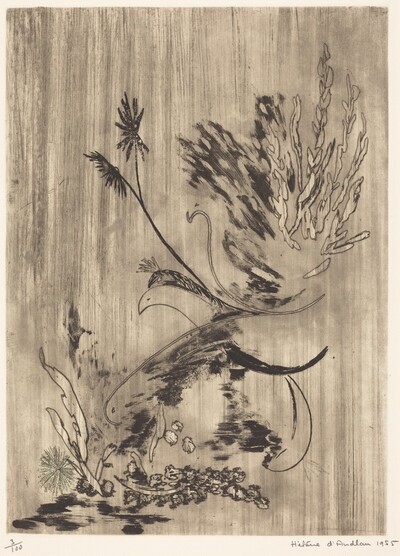 The Birds