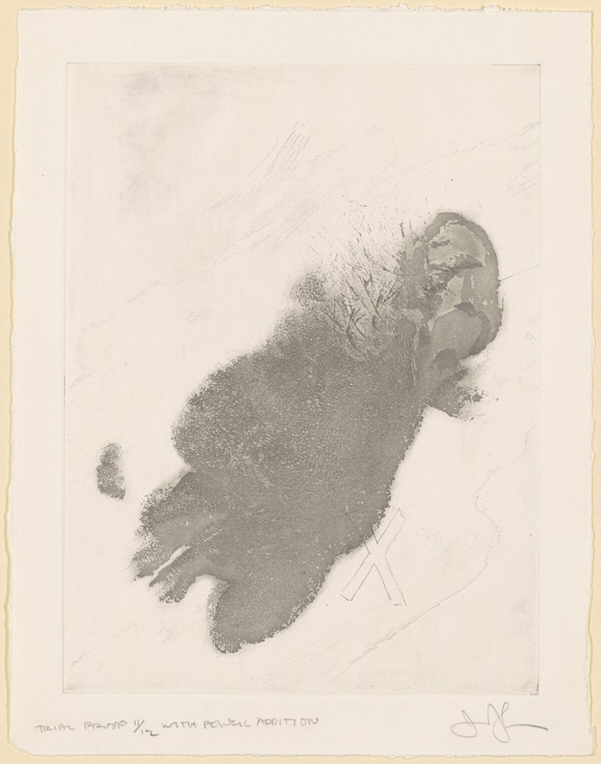 Face [trial proof 11] by Jasper Johns