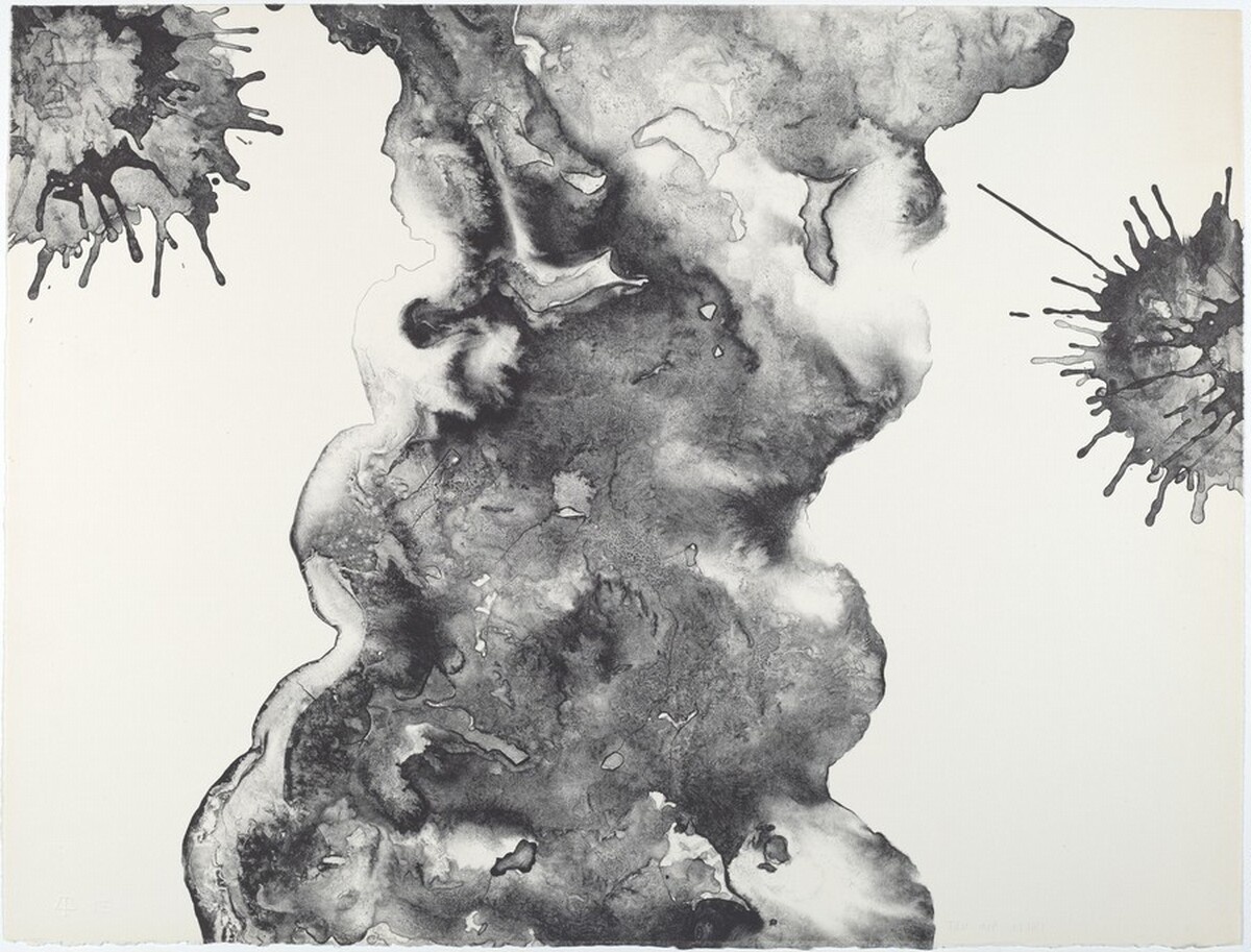 Plane Tree by Ruth Asawa