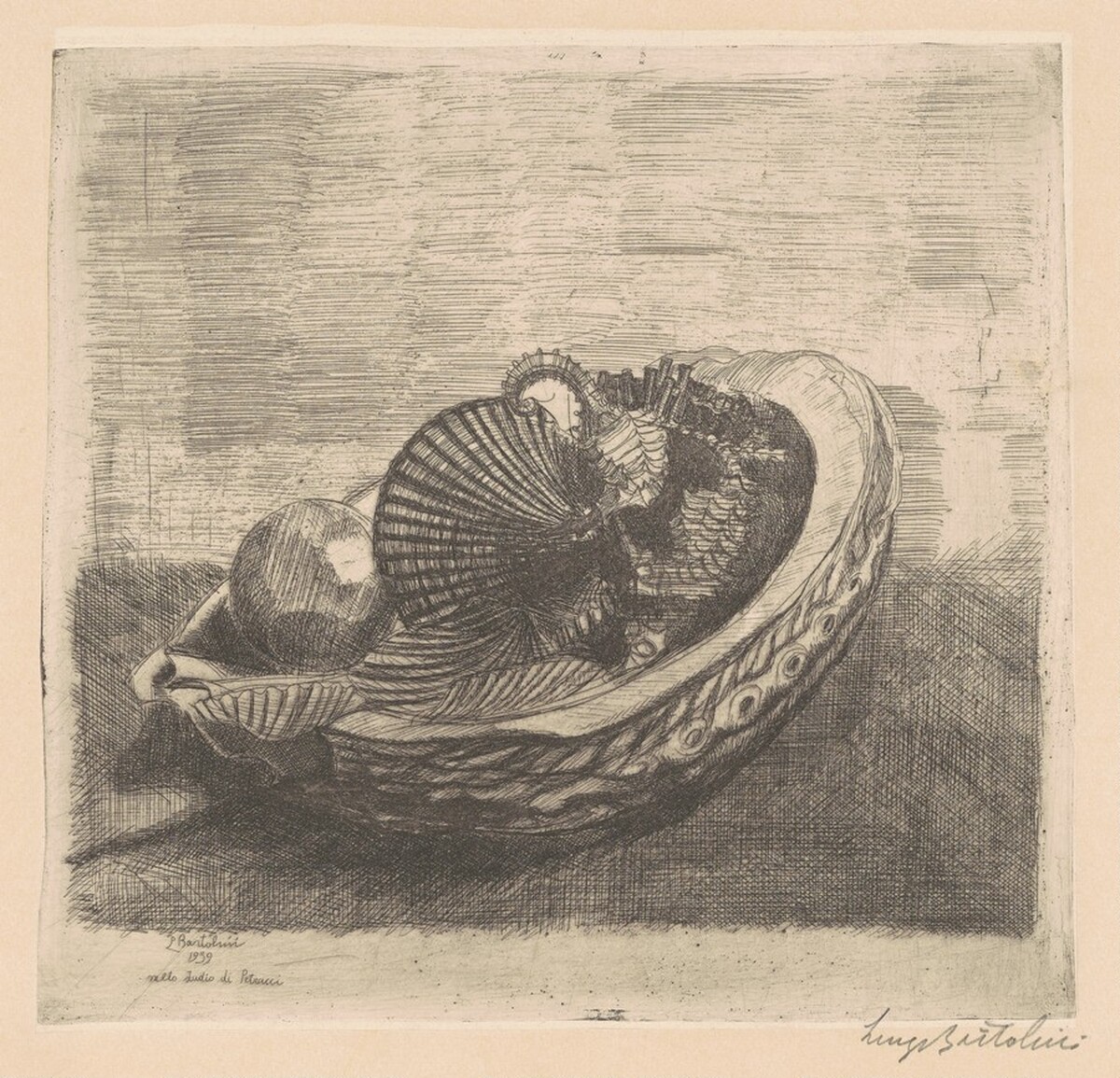 Le conchiglie [The Shells (in Petrucci's Study)] by Luigi Bartolini