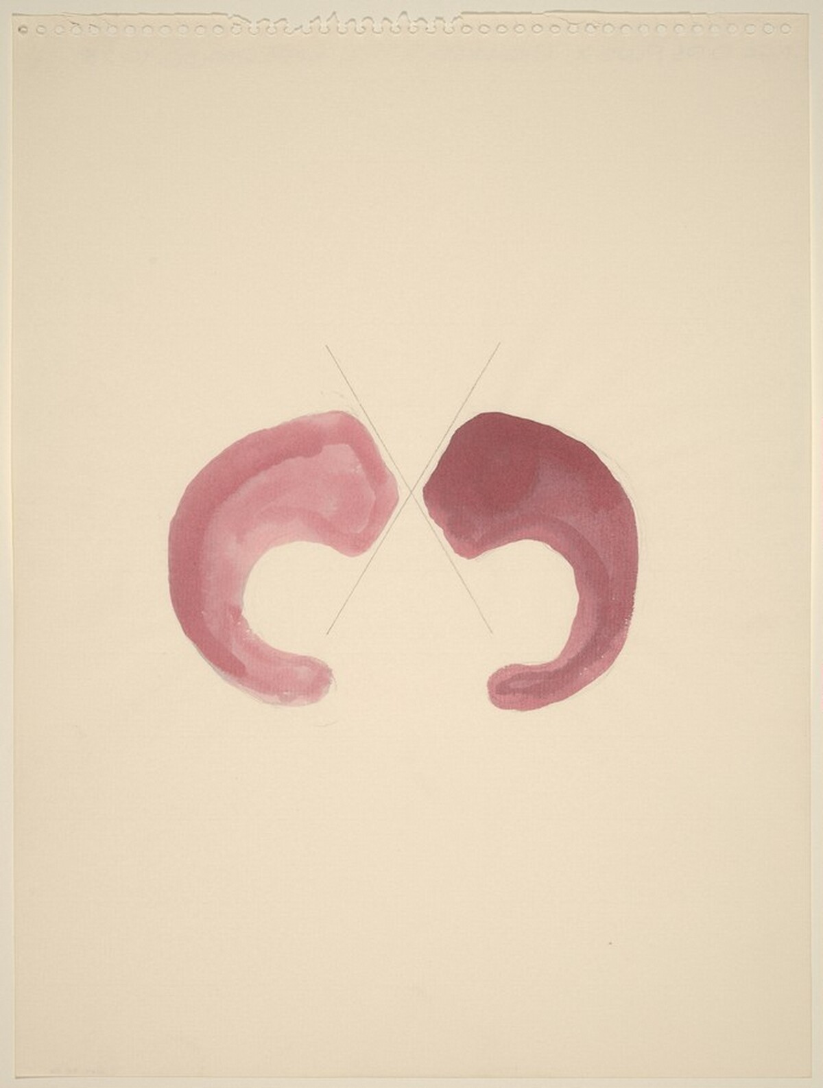 Two Dips Plus X by Richard Tuttle