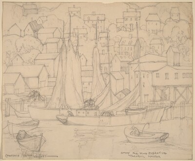 Tranquil Harbor