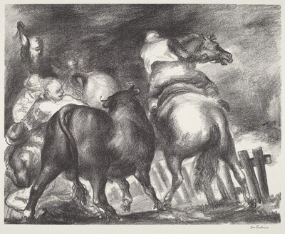 Escaped Bull