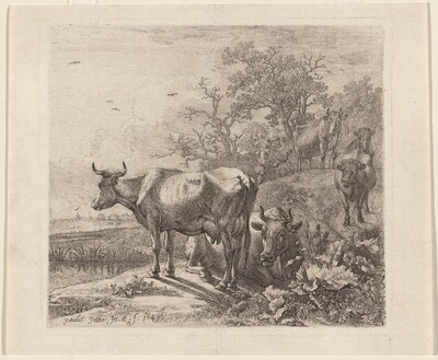 The Cowherd