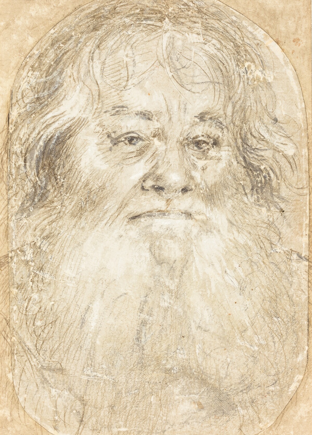 Study of a Bearded Man [verso] by Hans Holbein the Elder
