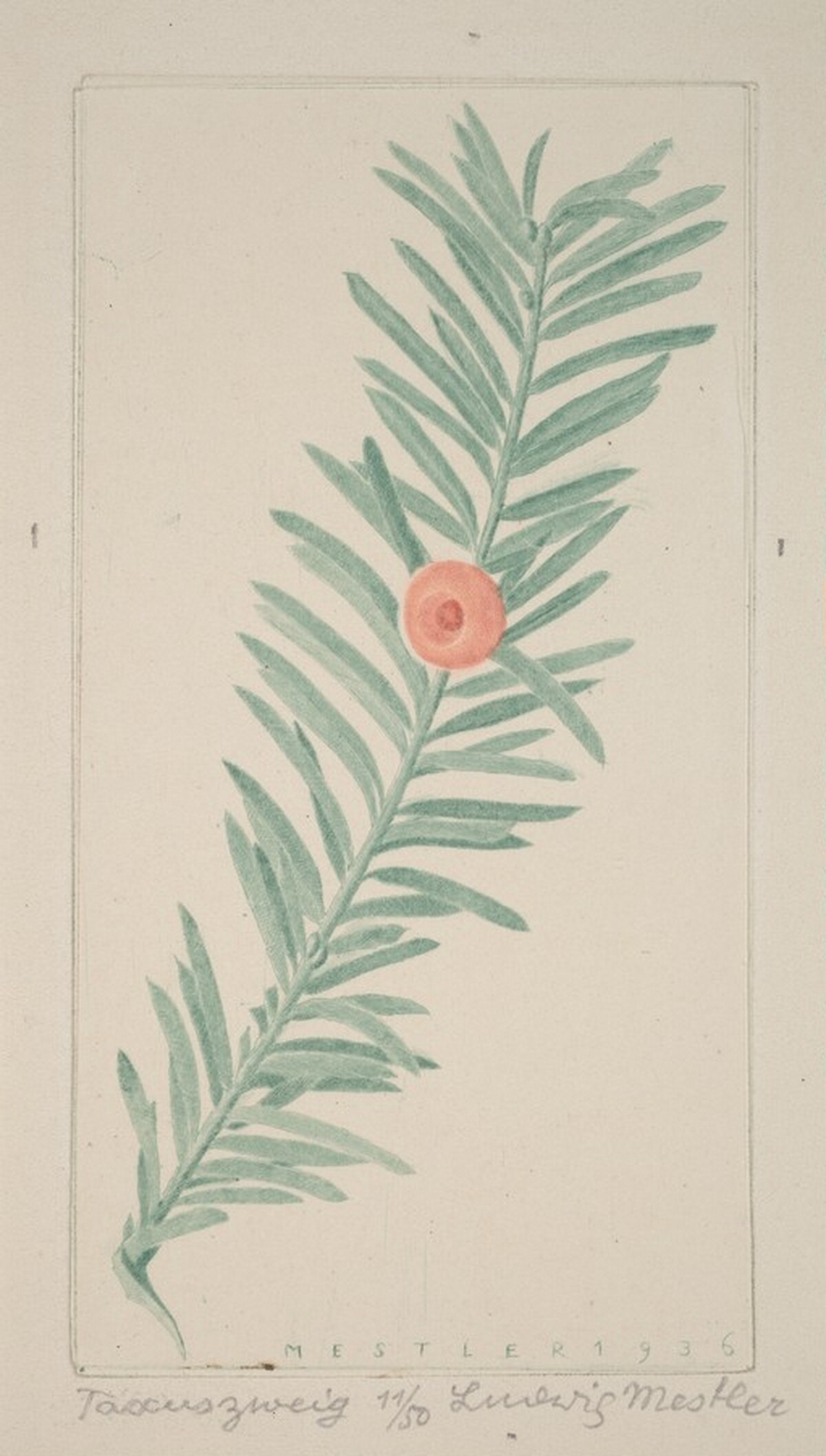 Yew twig (Taccuszweig) by Ludwig Mestler