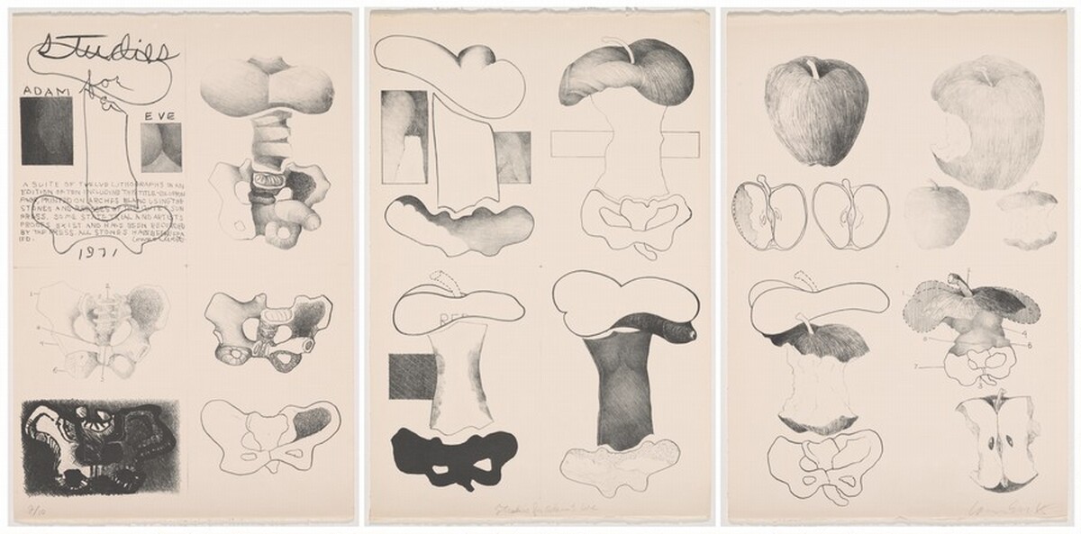 Studies for Adam & Eve by Connor Everts