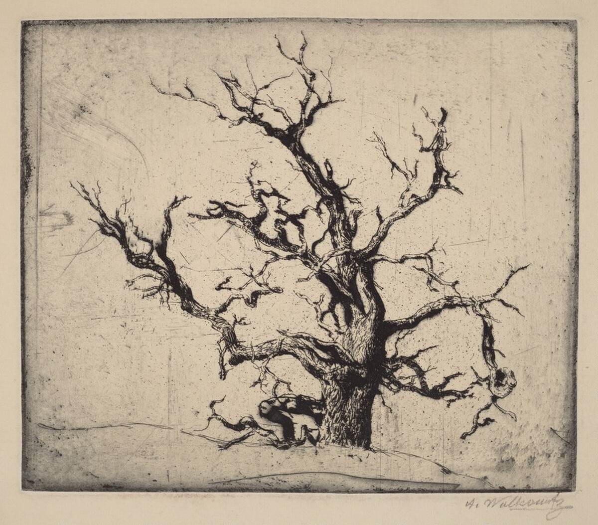 Tree by Abraham Walkowitz