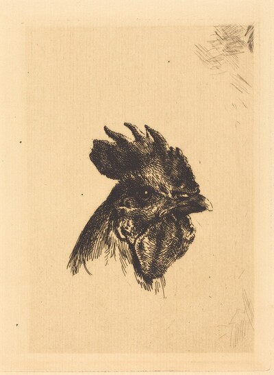 Head of a Cock