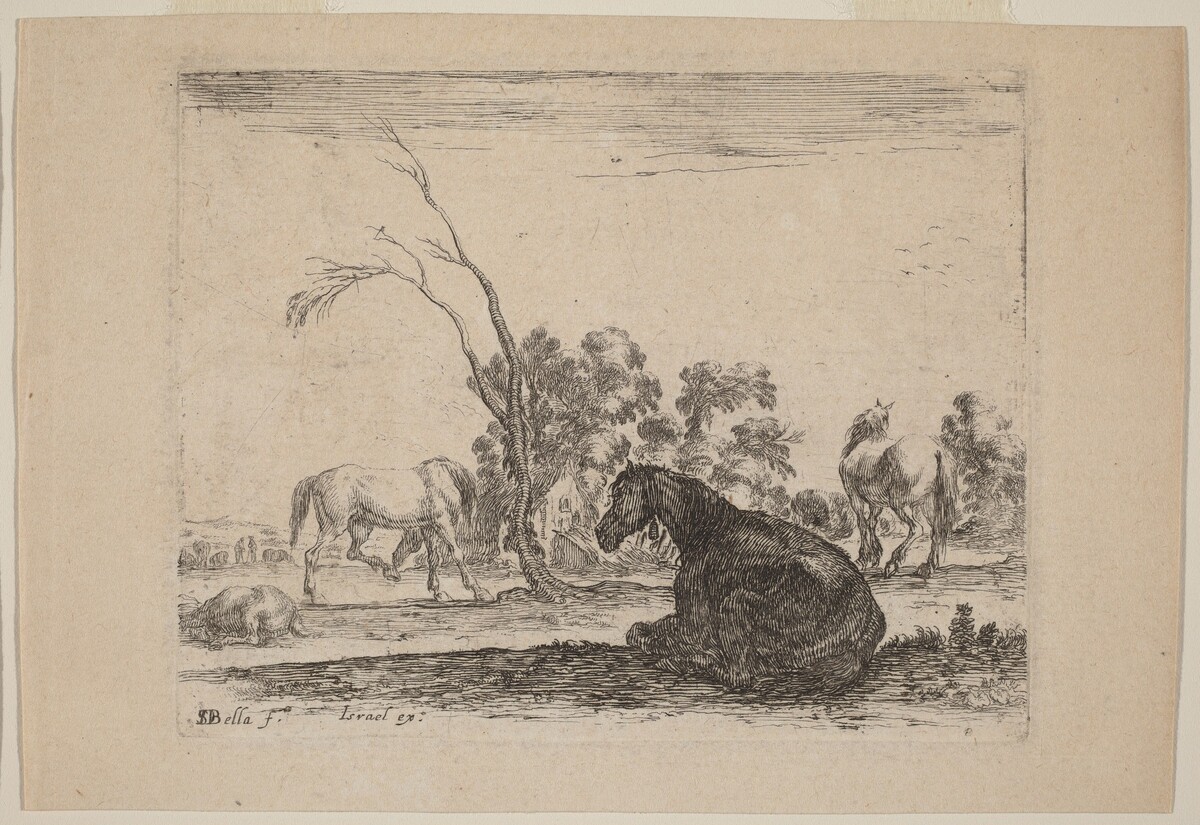 Horses in a Pasture by Stefano Della Bella