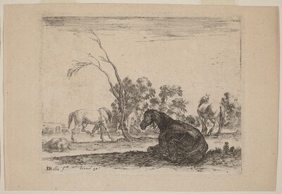 Horses in a Pasture