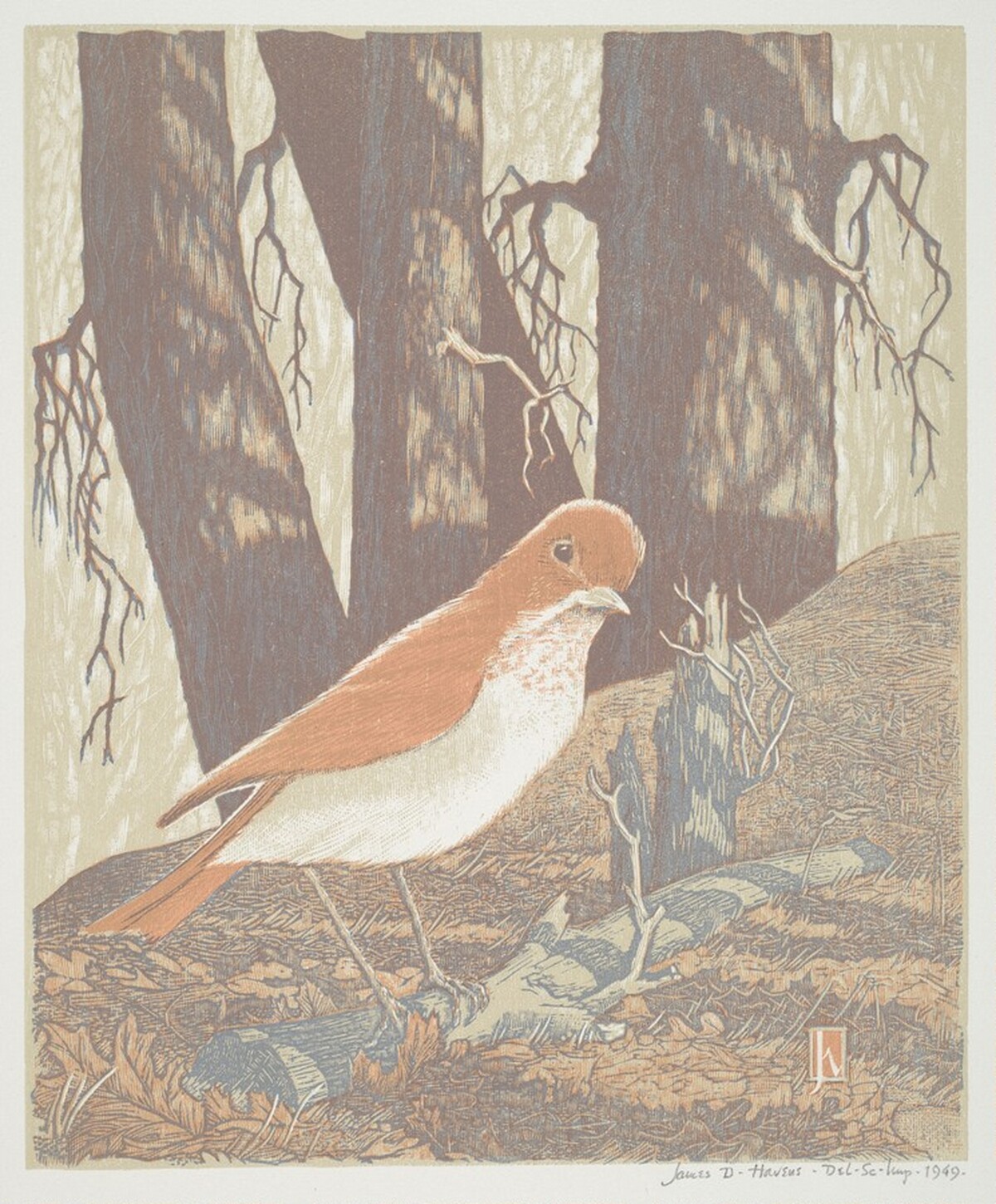 Shy Veery by James Dexter Havens