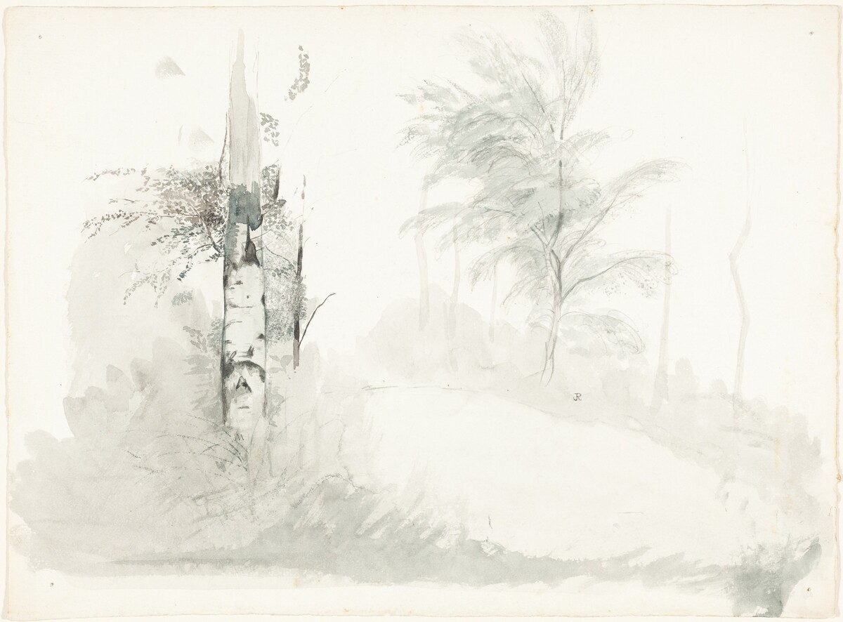 Tree Study by John Ruskin