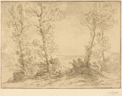 Salmon Fisher (Le pecheur du saumon)