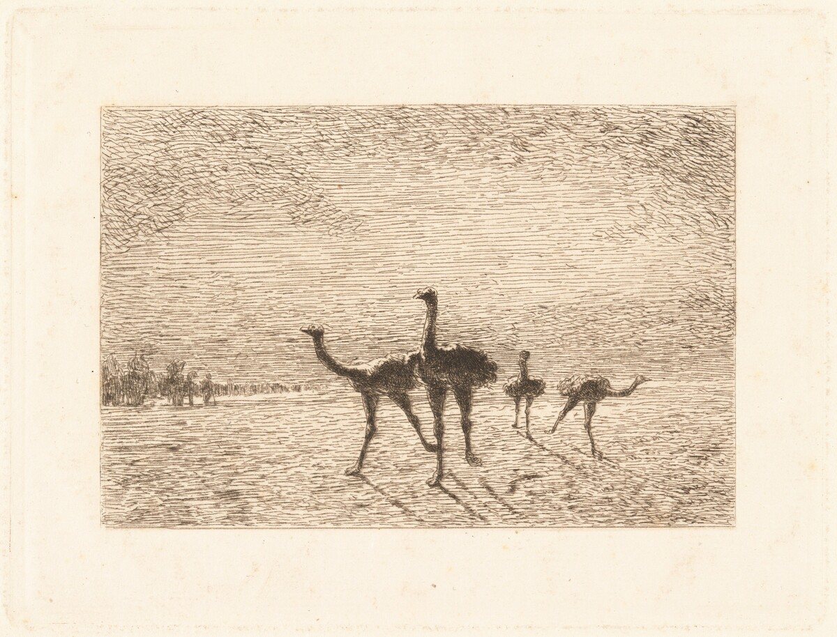 Ostriches in the Desert by François-Nicolas Auguste Feyen-Perrin