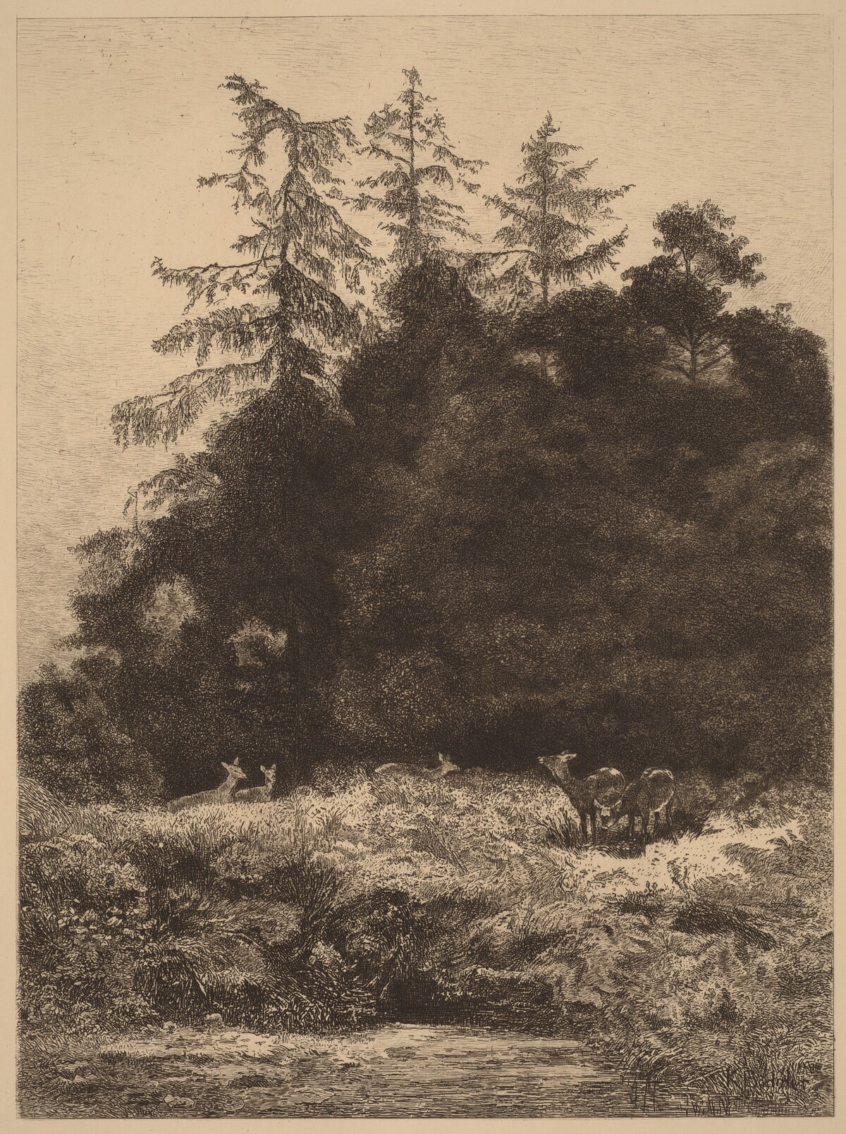 Daims dans un Parc by Karl Bodmer