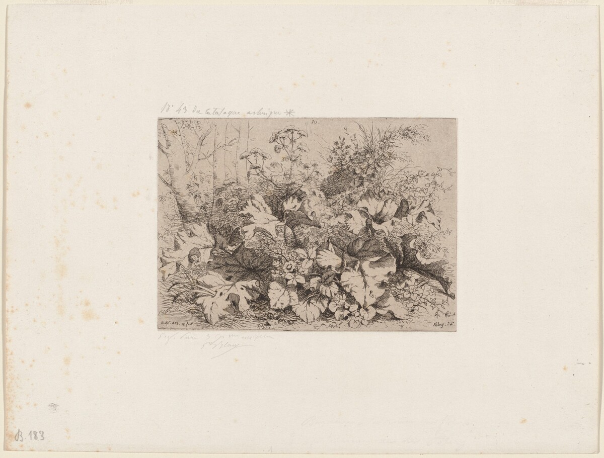 Burdock in Bloom by Eugène Bléry