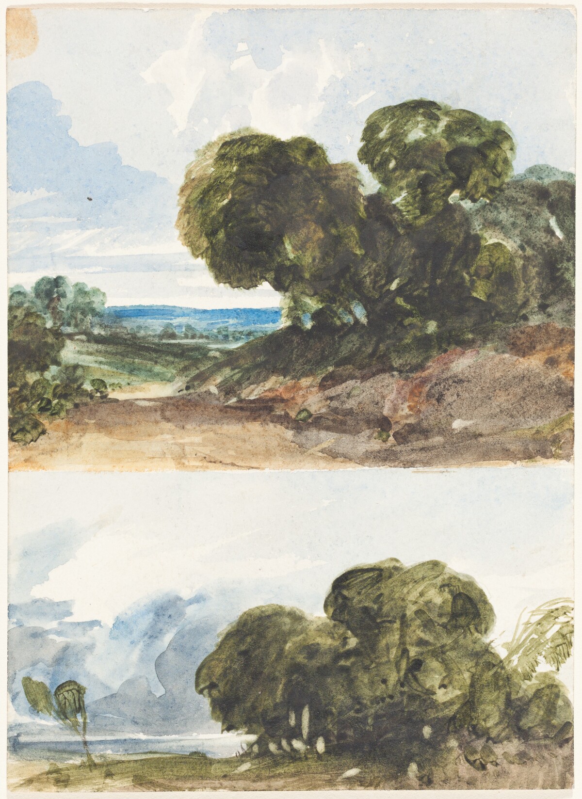 Two Sketches of Trees by Attributed to James Bulwer
