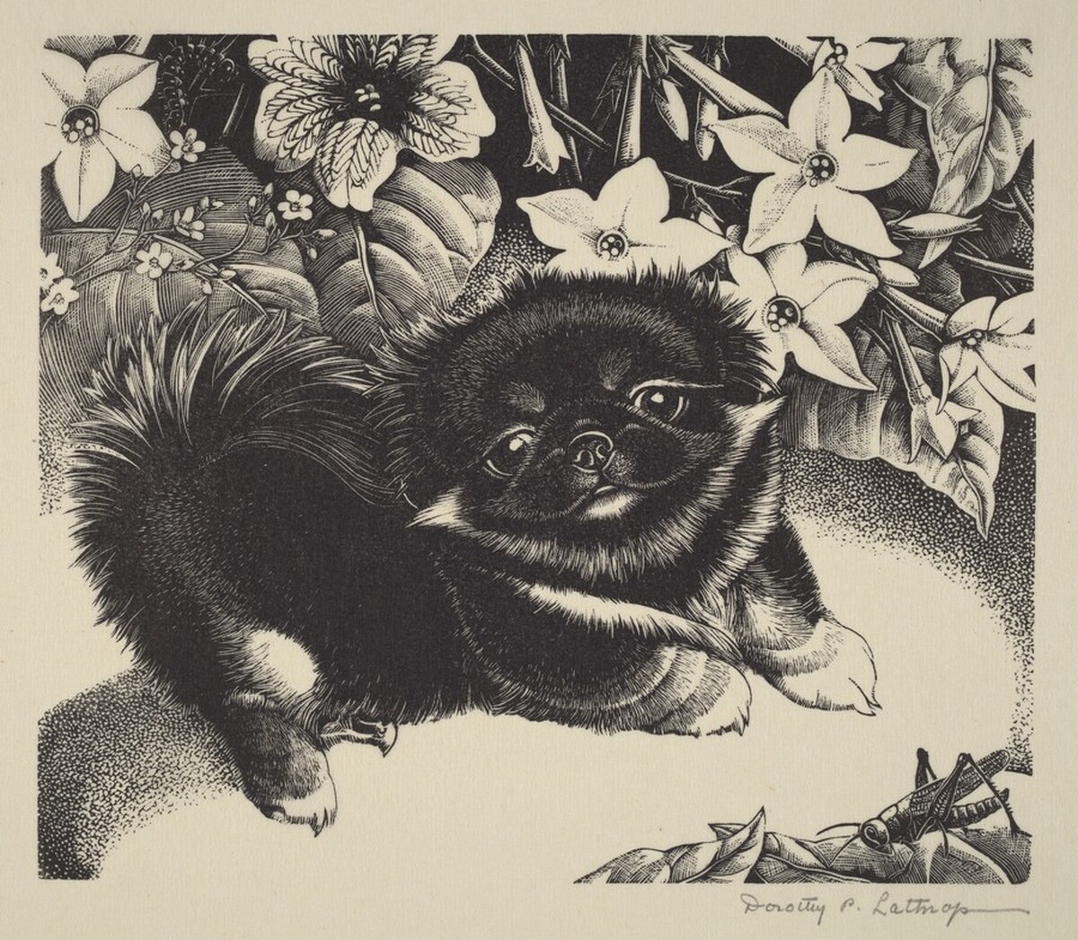 Kou Hsiung by Dorothy Pulis Lathrop