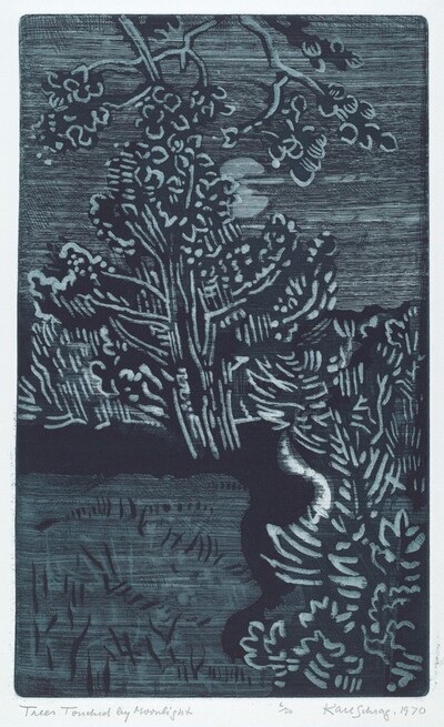 Trees Touched by Moonlight