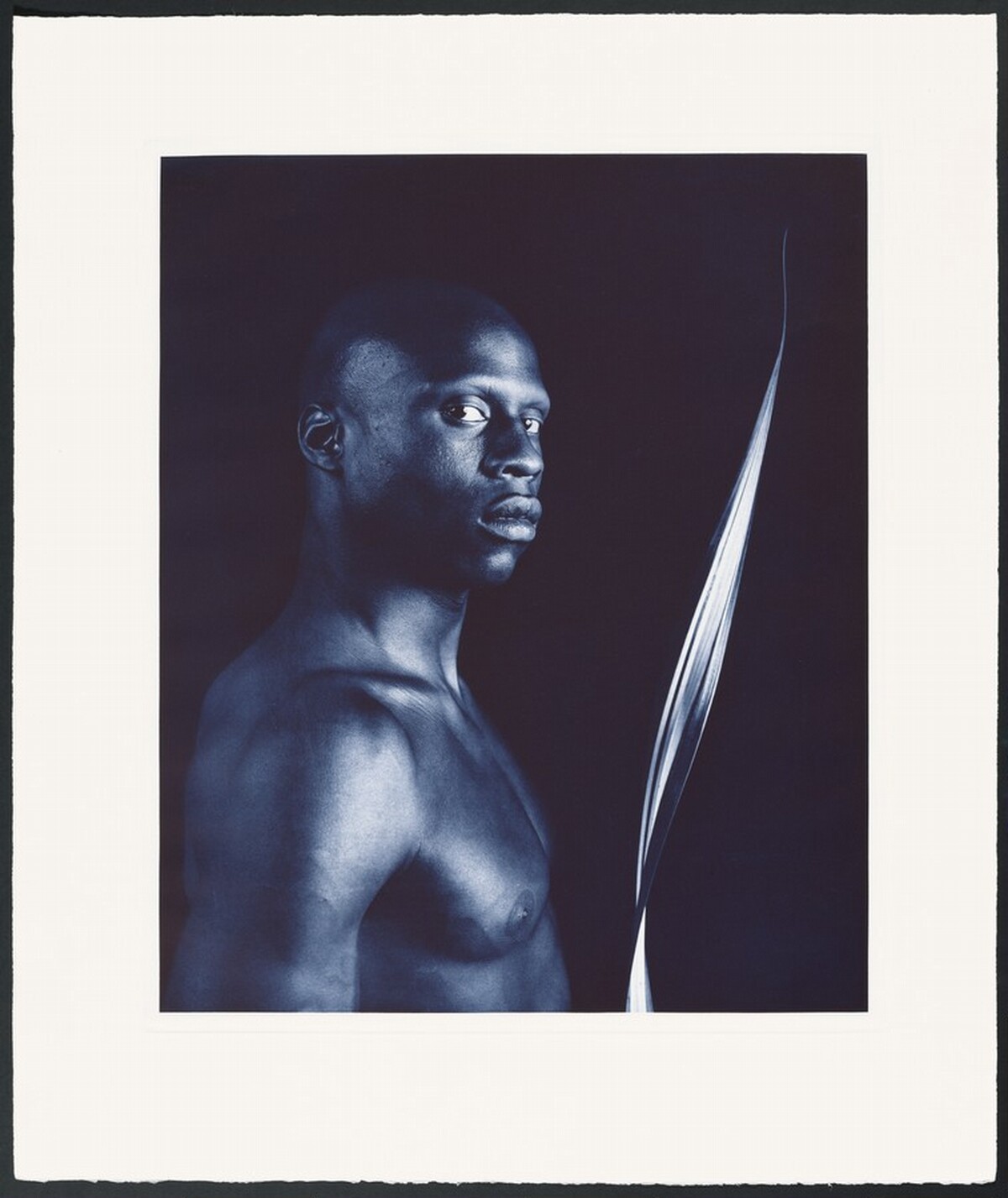 Untitled #4 by Robert Mapplethorpe