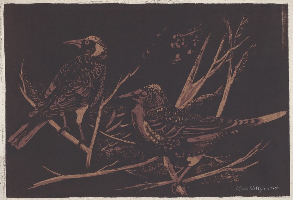 Nocturne by Doris Meltzer