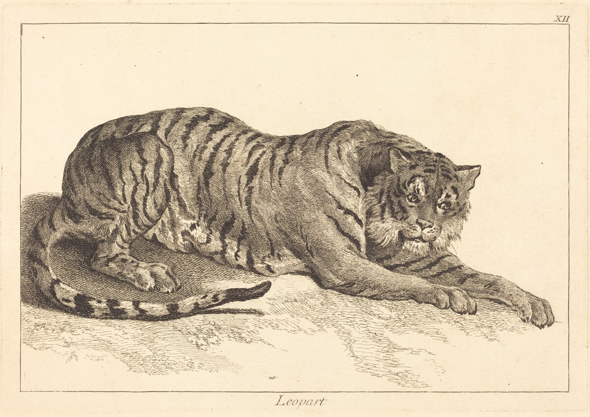 Leopart (Leopard or Tiger) by Jacques-Philippe Le Bas and Jean Eric Rehn after Jean-Baptiste Oudry