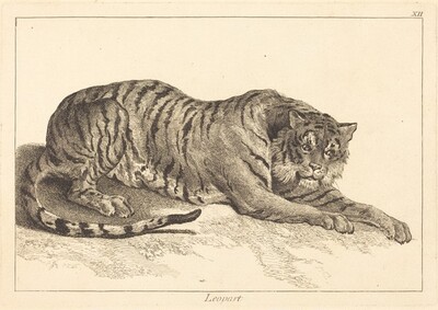 Leopart (Leopard or Tiger)