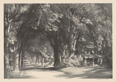 Midsummer Shade