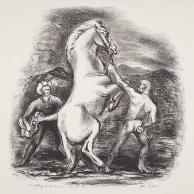 Saddling Wild Horse