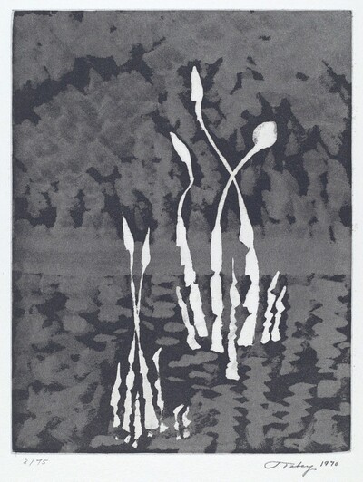 Movements in White