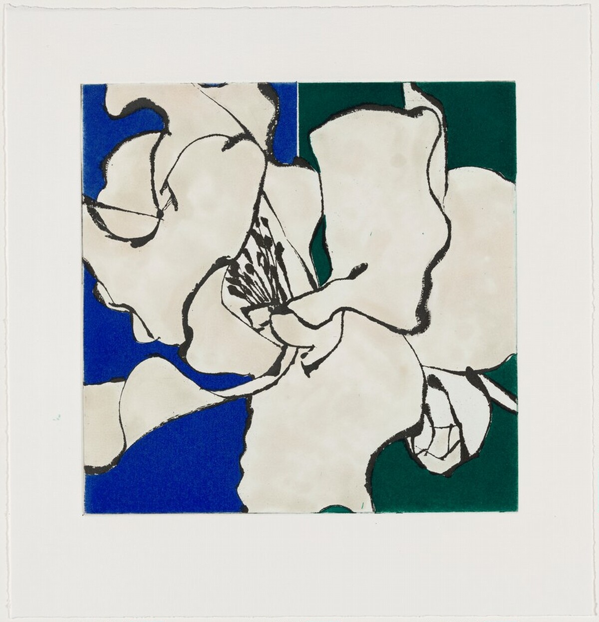 Camellia Pink [working proof 6] by Robert Kushner