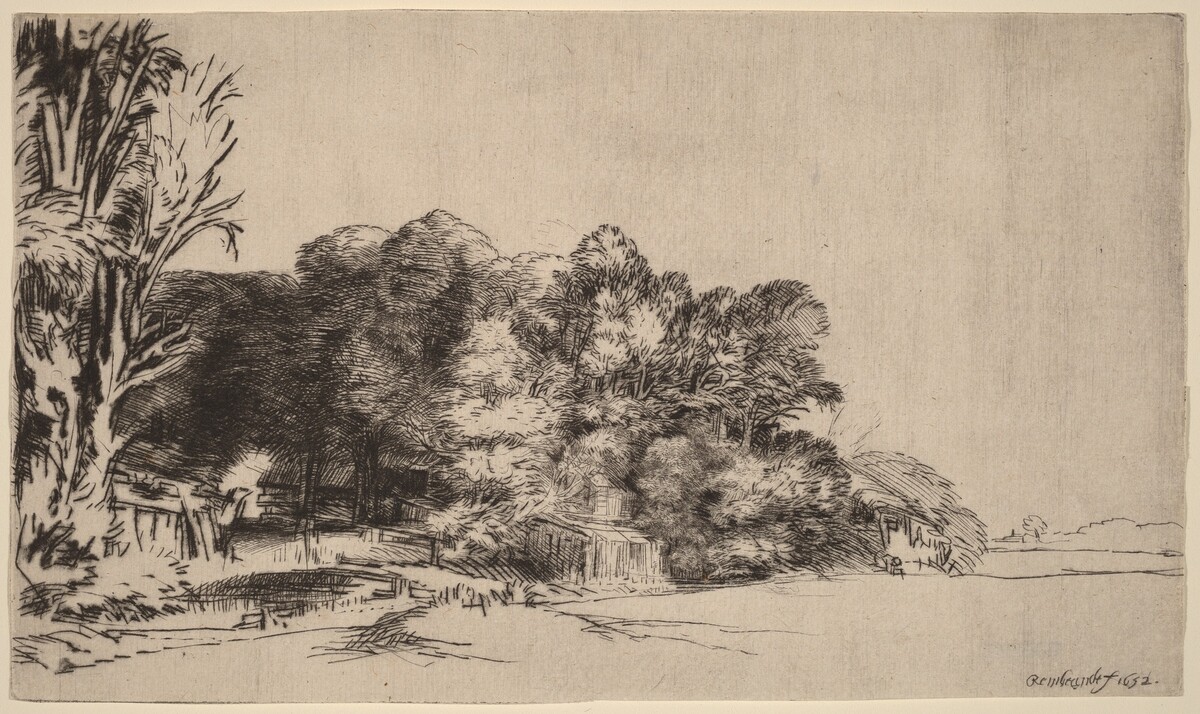 Clump of Trees with a Vista by Rembrandt van Rijn