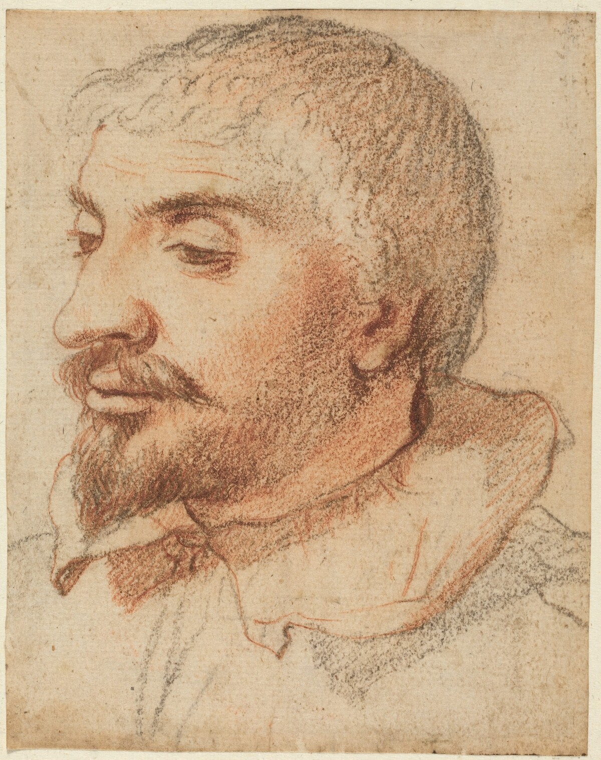 Head of a Man by Italian 17th Century