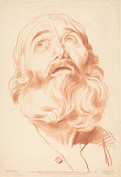Head of a Man
