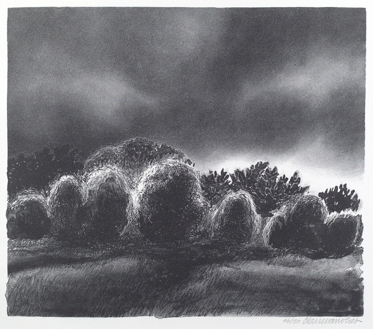 Storm Light by Claire Van Vliet