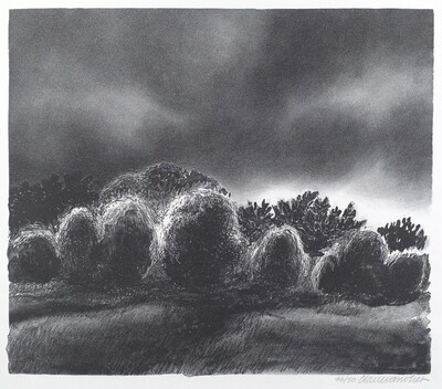 Storm Light