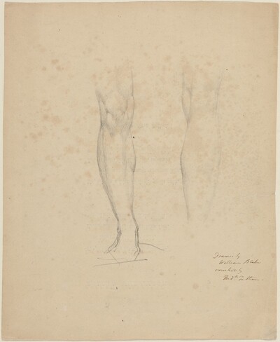 Two Legs