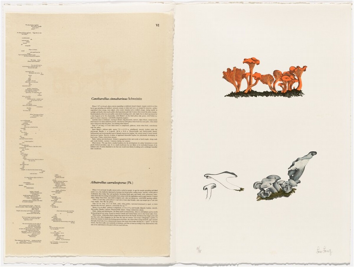 Untitled by Lois Long