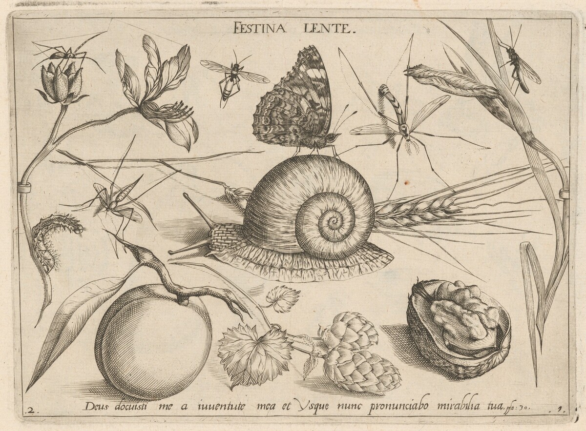 Archetypa studiaque patris Georgii Hoefnagelii [Part 1, Plate 2] by Jacob Hoefnagel after Joris Hoefnagel